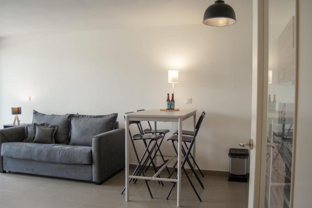 Villa Camilia - 2 Rooms Balcony Garage In Downtown 阿讷西 外观 照片